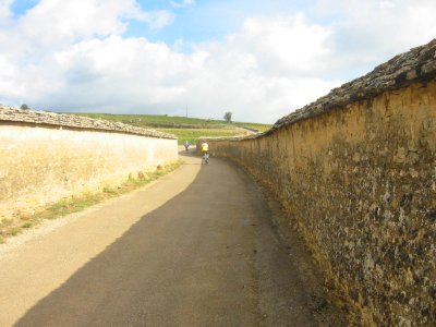 The walls of Pommard, France.